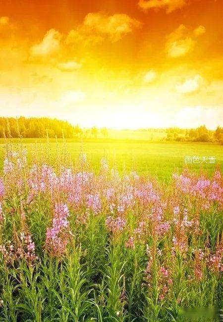 平常的日子最美 547bcf4954b041af82344ffa9cc79149.jpeg