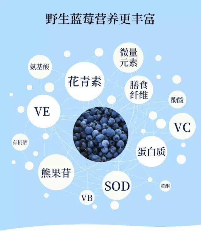 a8aa60ce6eae467e845614cb1d1371aa.jpeg