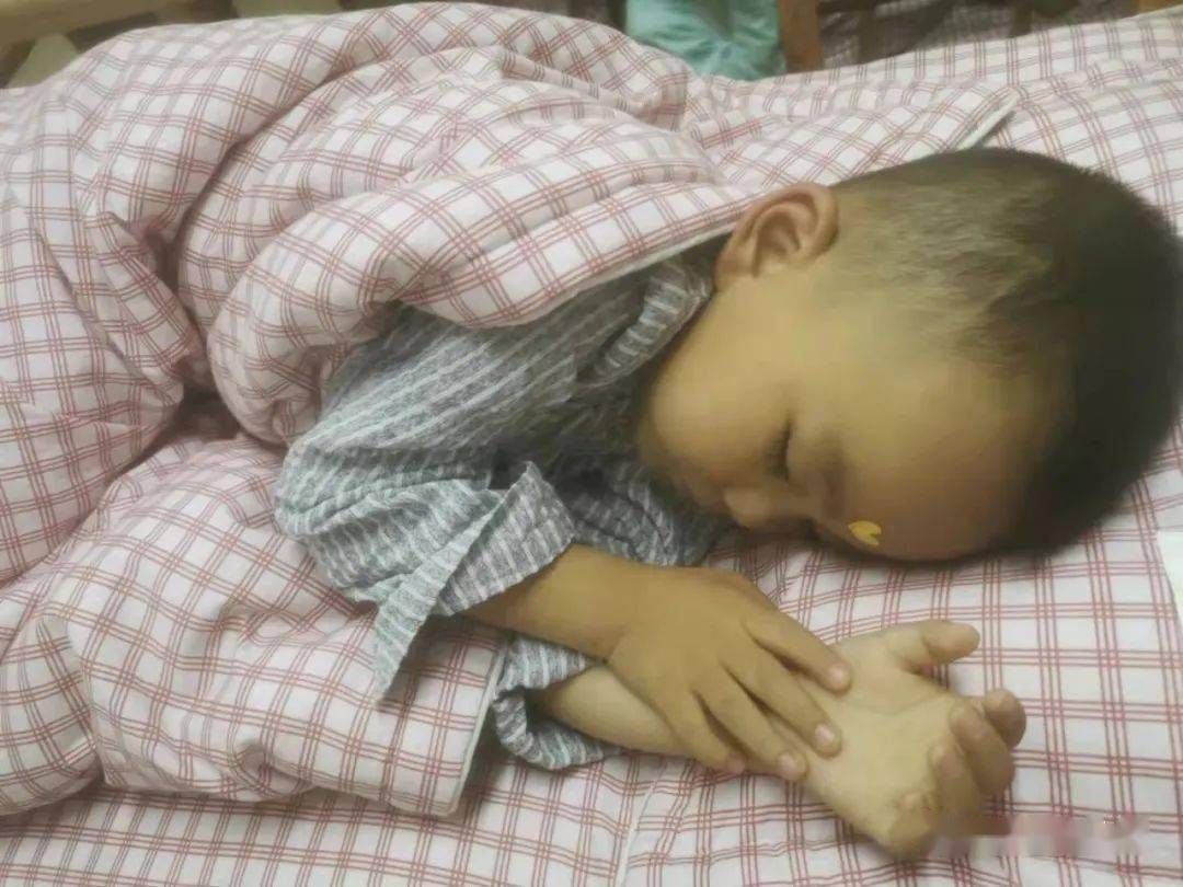 活动|镇安县幼儿园开展小班幼儿开学活动