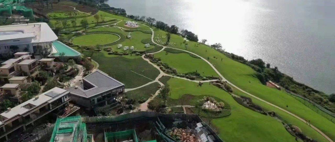 昆明滇池南湾未来城的房屋将被拆除，该区域将建成生态公园_保护