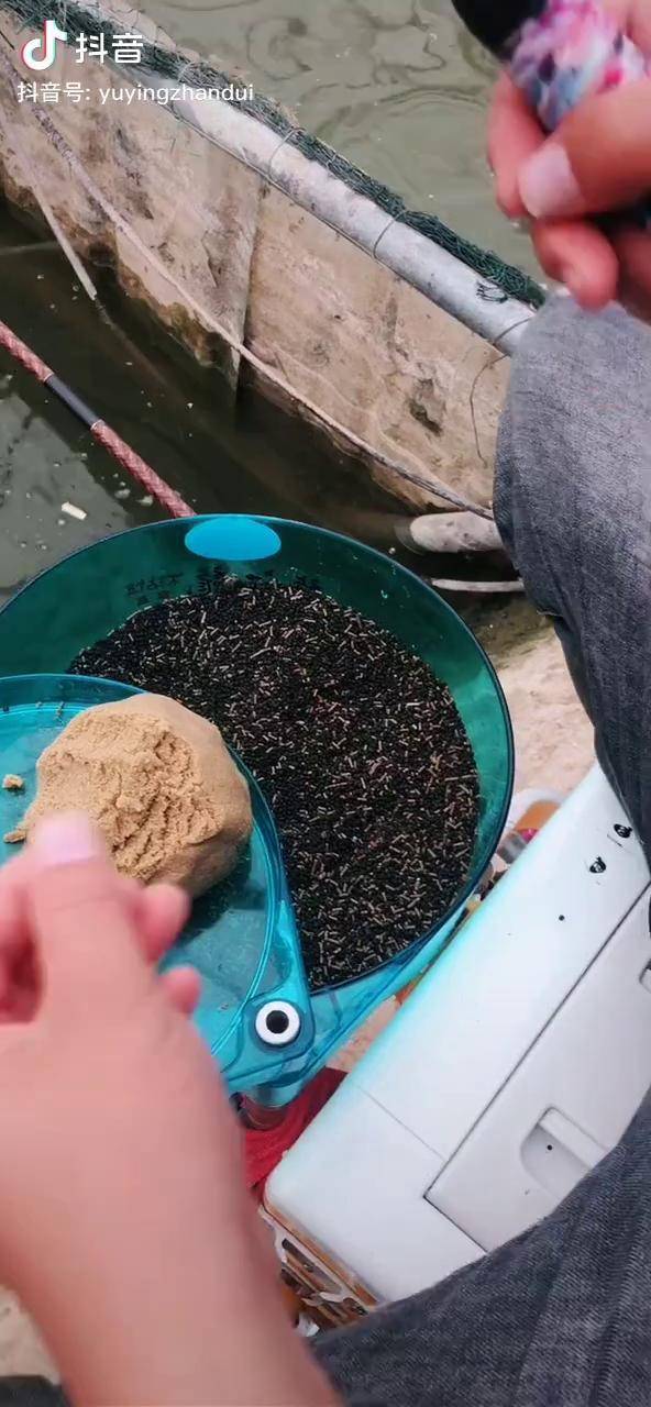 钓鱼软粘粘麻团上饵手法钓鱼黑坑黑坑钓鱼黑坑钓鲤鱼饵料配方钓鱼人