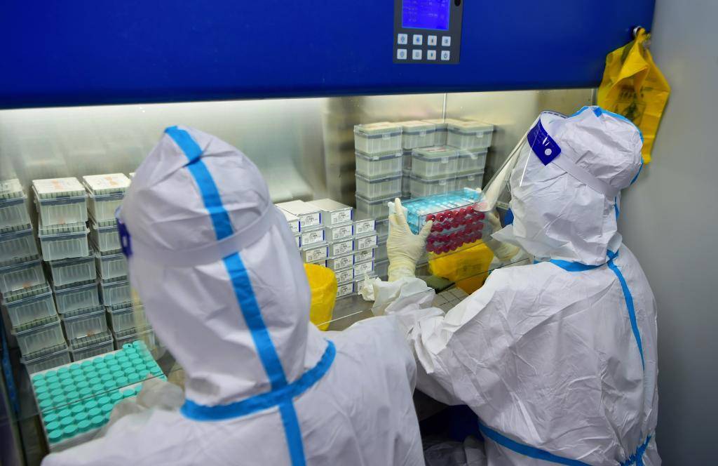 疫情|新华全媒+｜从10万到200万——福建莆田核酸检测“大提速”的背后