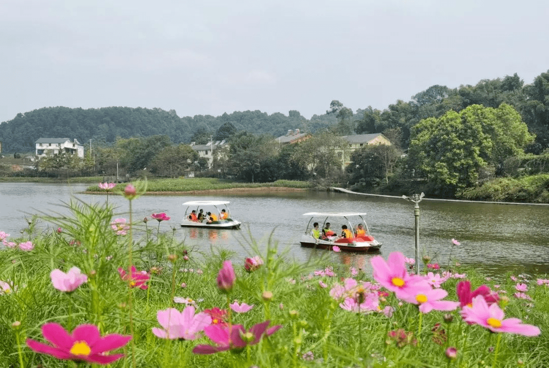 云赏巴南秋色上午10点看cctv13直播