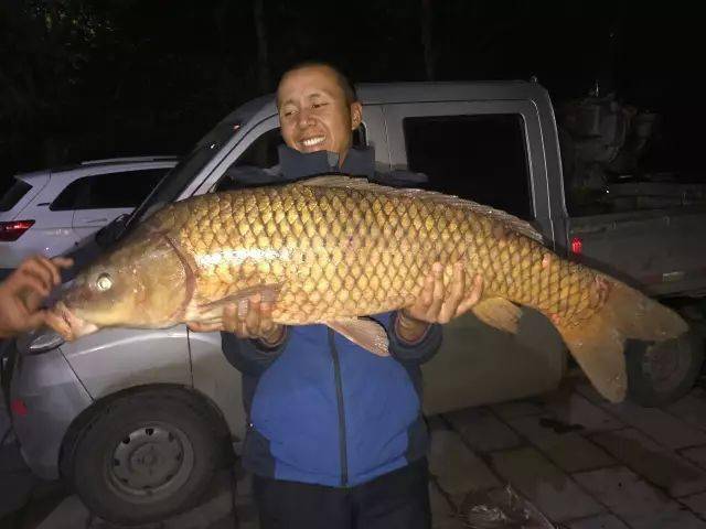 20年钓龄老钓友分享水库如何钓大鱼