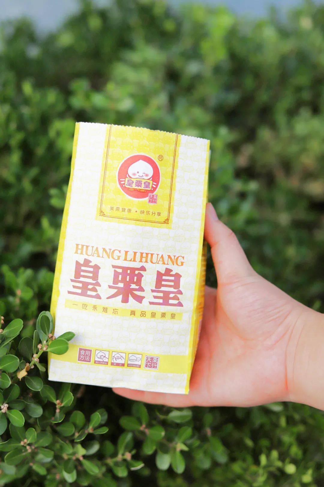 1元抢10元板栗镇平排队神店皇栗皇新品板栗上市啦超值福利快来抢