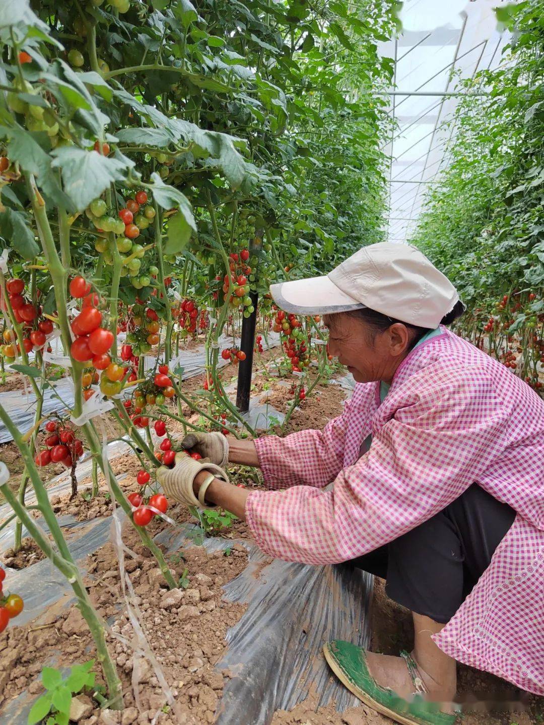 安宁好吃的排行榜_安宁市三所院校位列2021年中国高职院校综合竞争力排行榜
