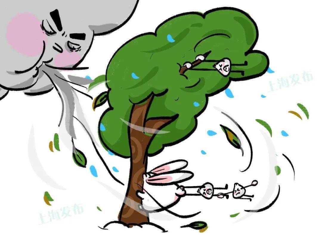 【天气】崇明发布大风蓝色预警