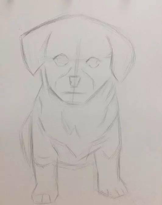 可爱小狗的彩铅画法