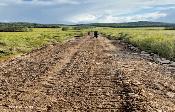 乌鲁布铁镇新发村抢修水毁田间路 畅通秋收幸福路