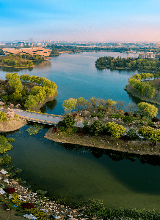 品秋韵之美走在泰州寻秋去