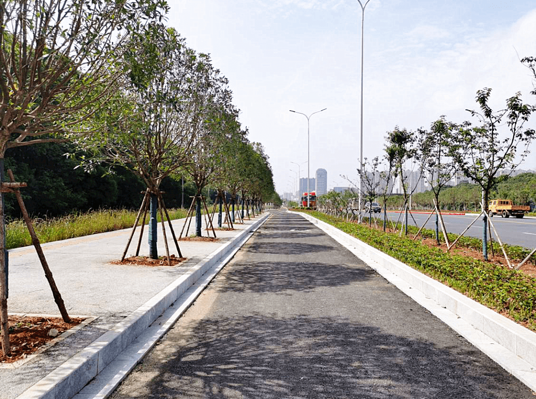 新区车主,这条主干道通车了!更快了!