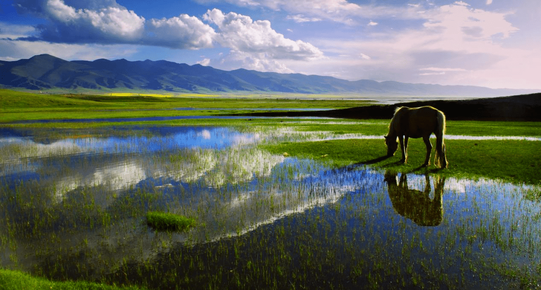 泽库县最全的旅游攻略
