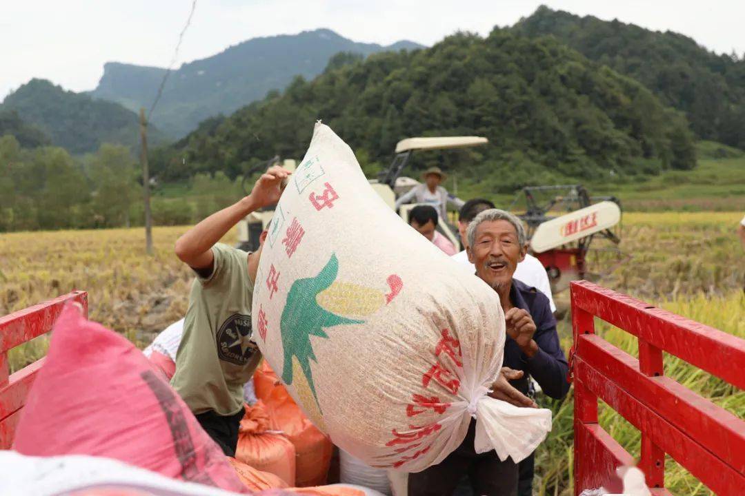 "要是以前,打一天稻谷,浑身都是泥巴不说,稻谷灰粘在身上痒得慌.