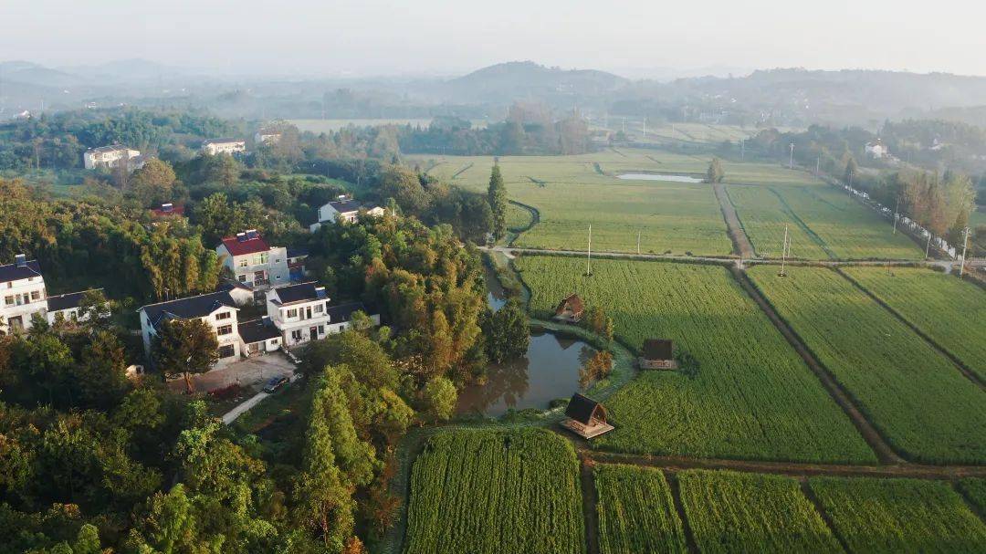 c位出道,这个村仙气飘飘