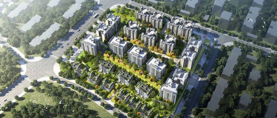 案名首曝光!纯洋房社区+城市中央公园,一个让设计师“癫狂”的楼盘!_龙涧栖