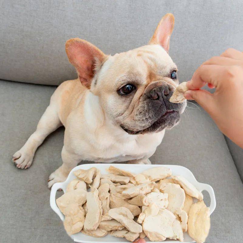 布兜|这才是狗狗零食的正确打开方式……