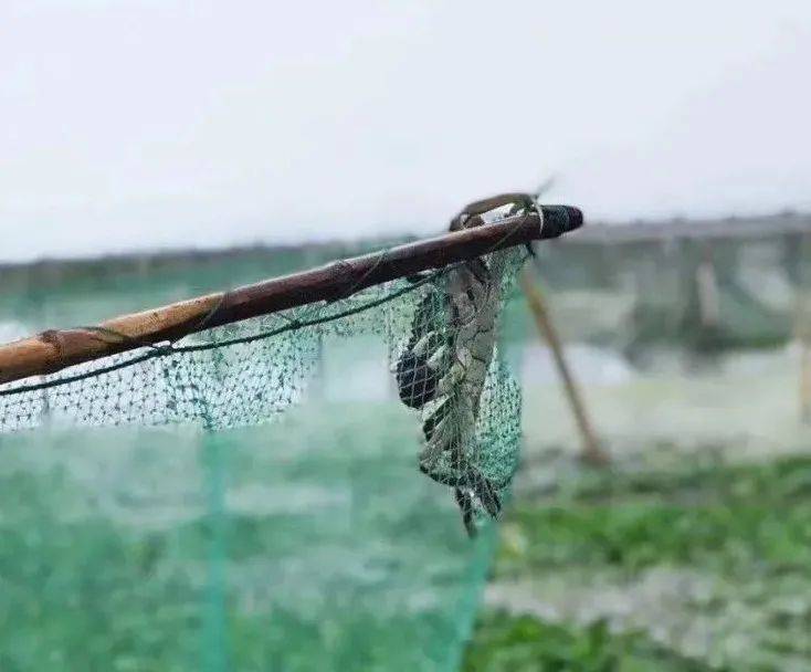 顾客|@有车族！今后停车自动扣费，直接抬杆放行