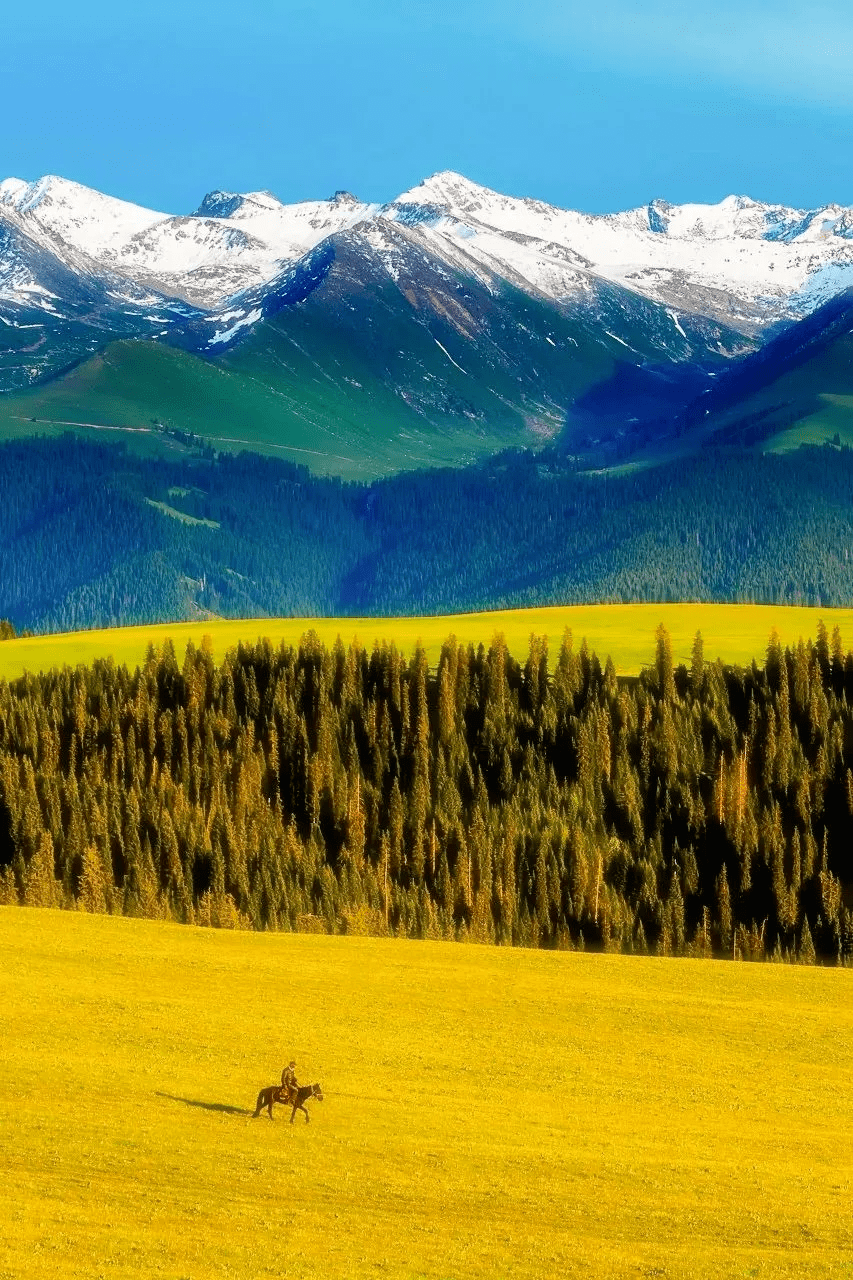 612a4c8a54bb4fb18dc4458b5f7903f0.png