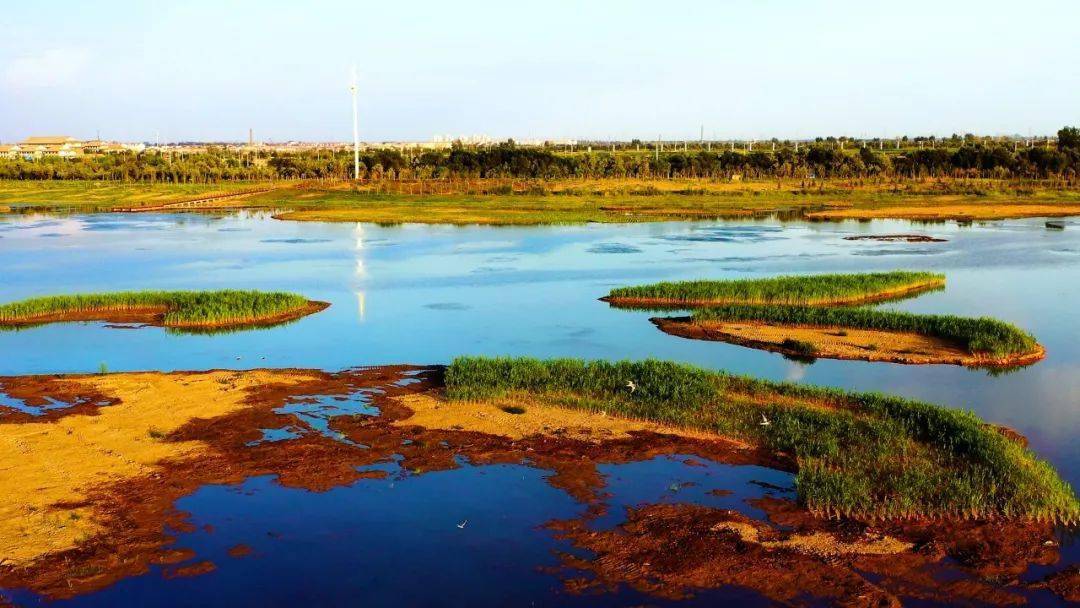 星海湖国家湿地公园图片