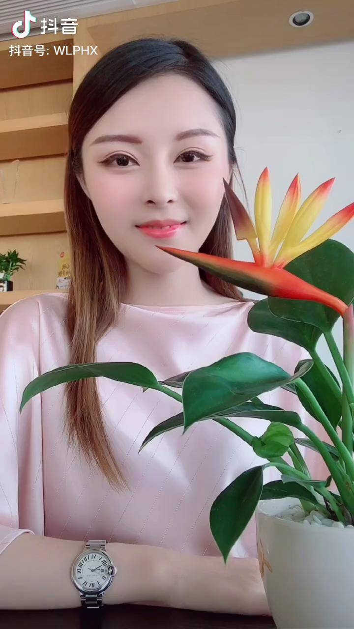 你可以讨厌一样东西但请你允许他的存在丽萍王丽萍dou小助手