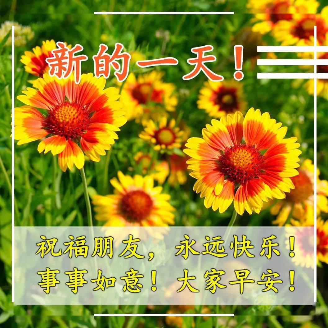 看在朋友一场,送你一个妙方:想要烦恼全消,与阳光微微笑;想要腰包鼓鼓