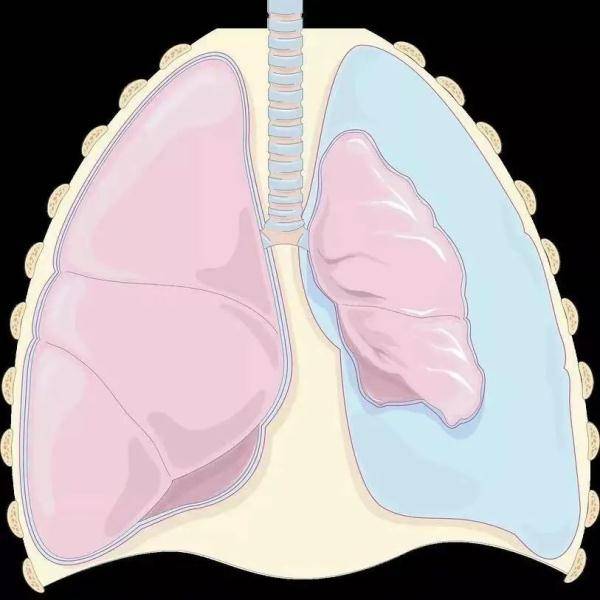 气球|29岁小伙几声剧咳，肺就“炸”了！