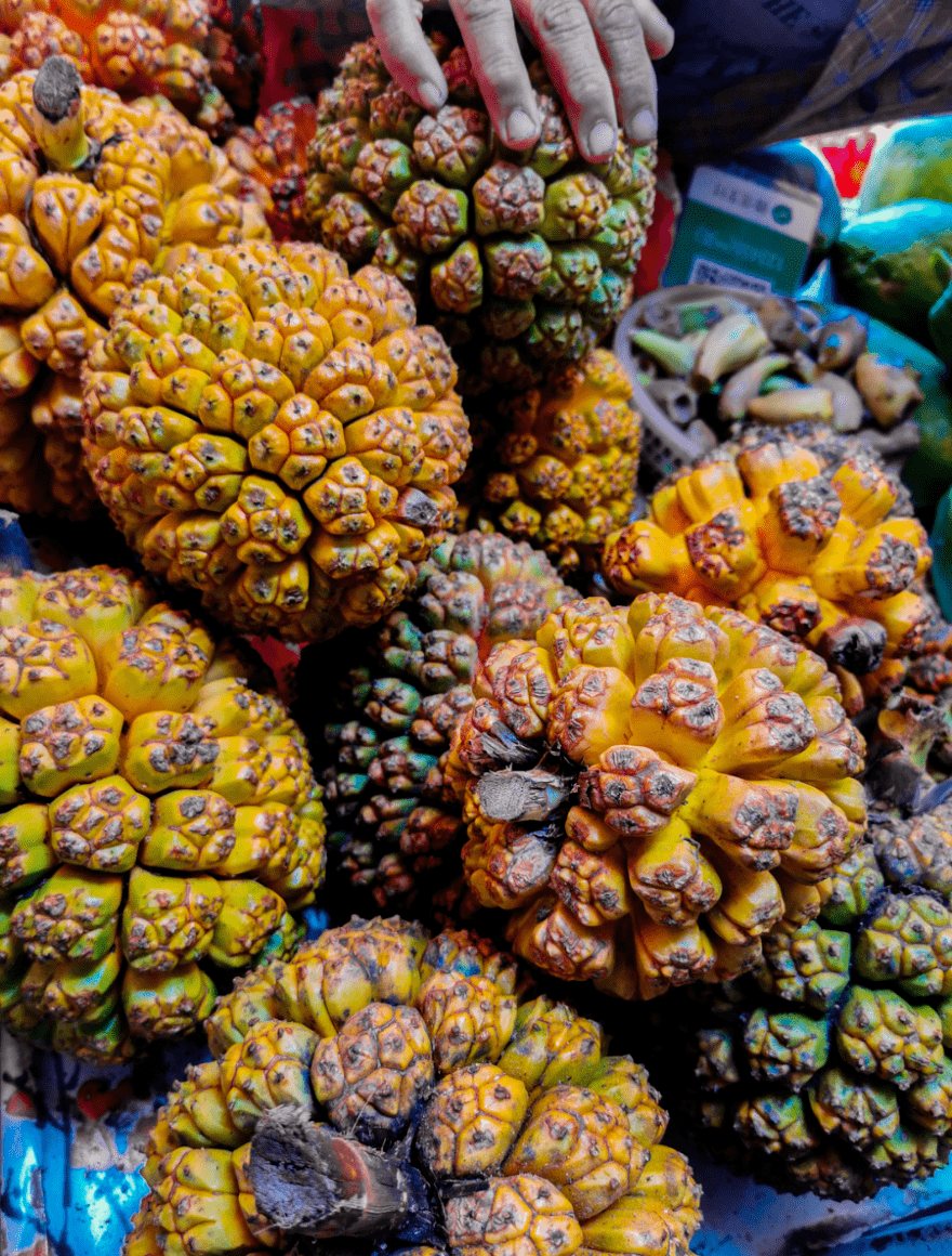 还要品一品绿皮香蕉,海菠萝,仙人掌果等香甜的水果,这也是来涠洲岛的