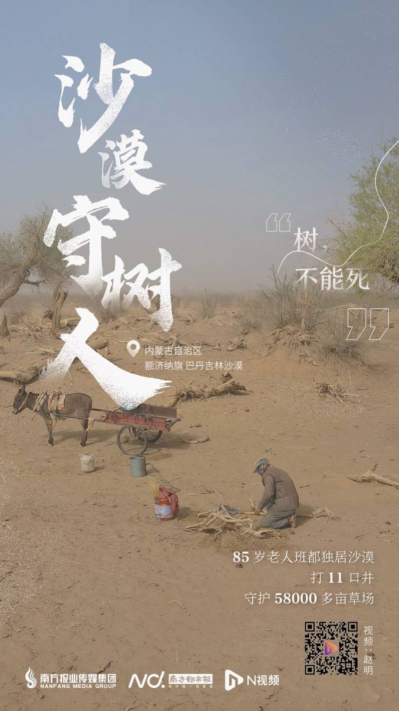 张博南方都市报一周海报精选（2021年第29期）