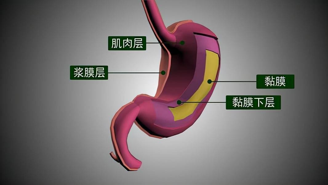 早上空腹吃几粒花生一段时间后这4个问题或可改善