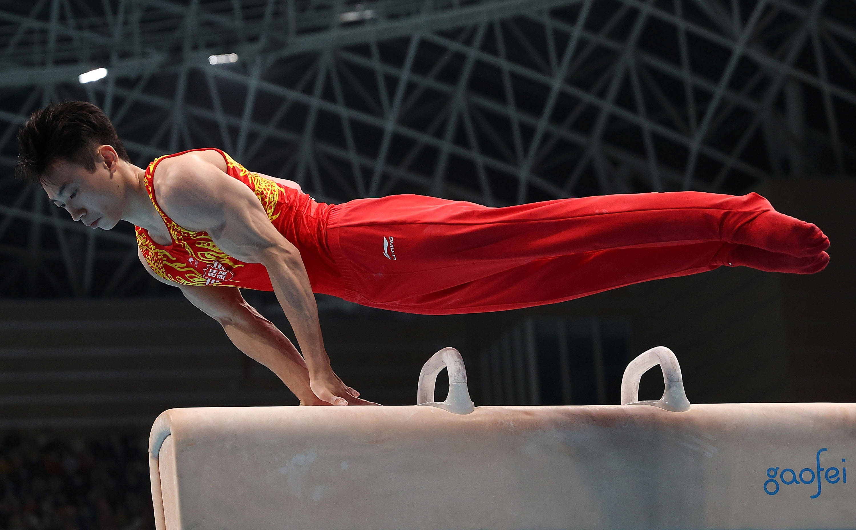 体操男子鞍马决赛赛况