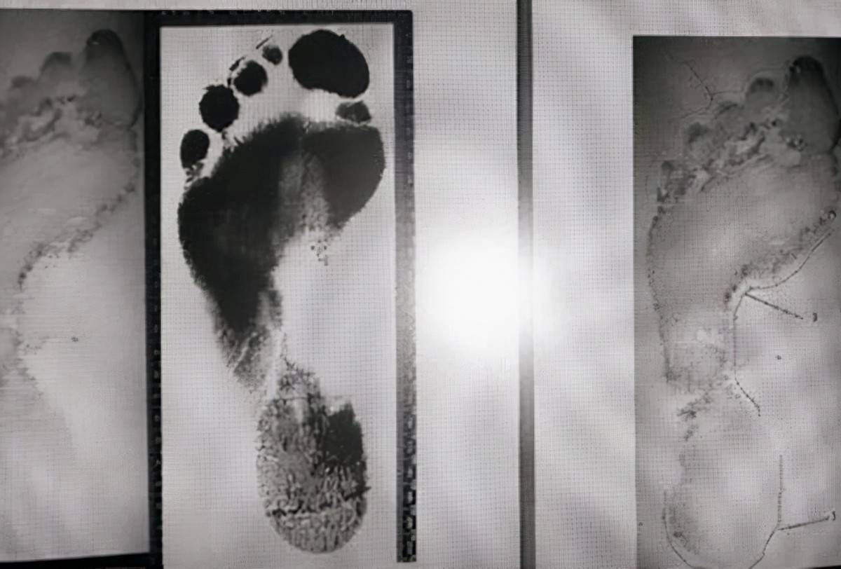 神眼 马玉林探案 寻枪记 马书记