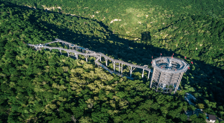 典型案例户外运动休闲空间型体育服务综合体延安树顶漫步体育服务综合