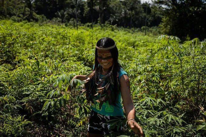 亚马逊雨林土著少女直播吃昆虫成网红,如今没钱交网费要被断网了