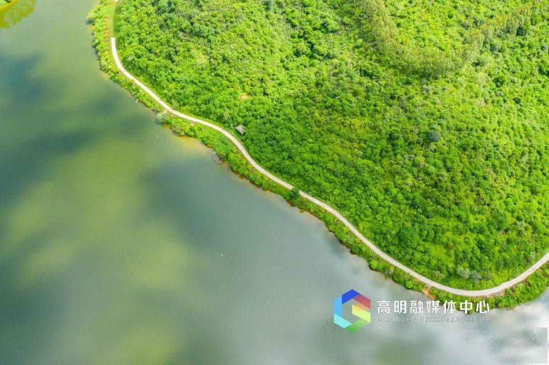 揭秘佛山最大的水库就在高明