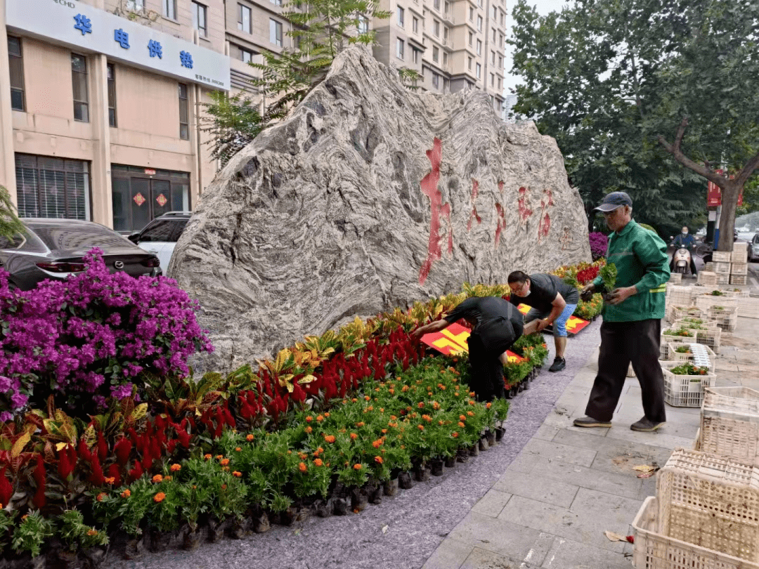 对裕华区政府门口两侧,石门公园门口等重要节点摆放观赏花卉,营造节日