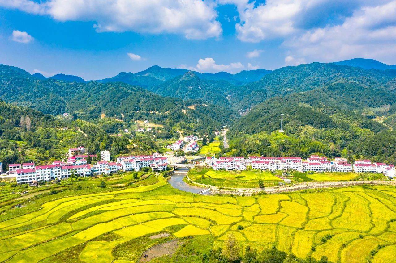 金寨长岭秋色_家乡