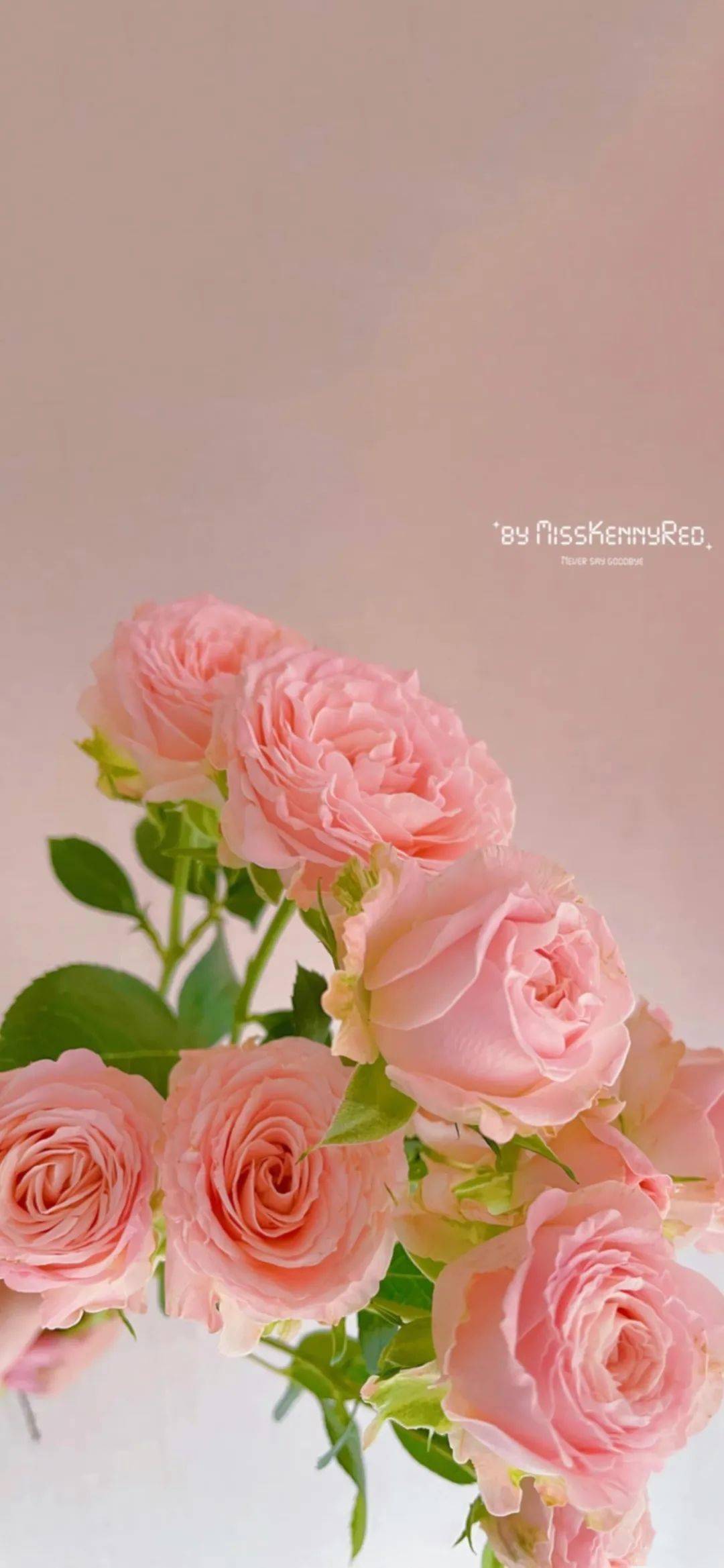 可以配风景照的温柔浪漫文案