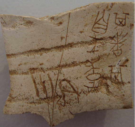 周公庙遗址出土的甲骨