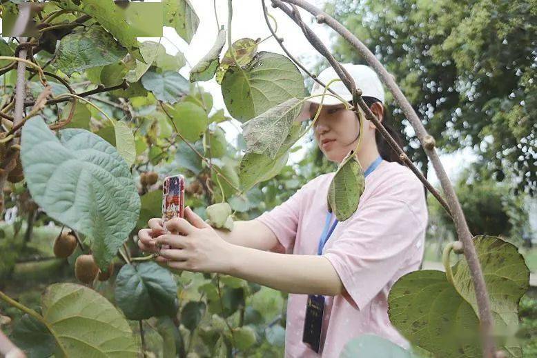 “浙川情·乡村兴”县域经济高质量发展研讨活动在四川苍溪县举行