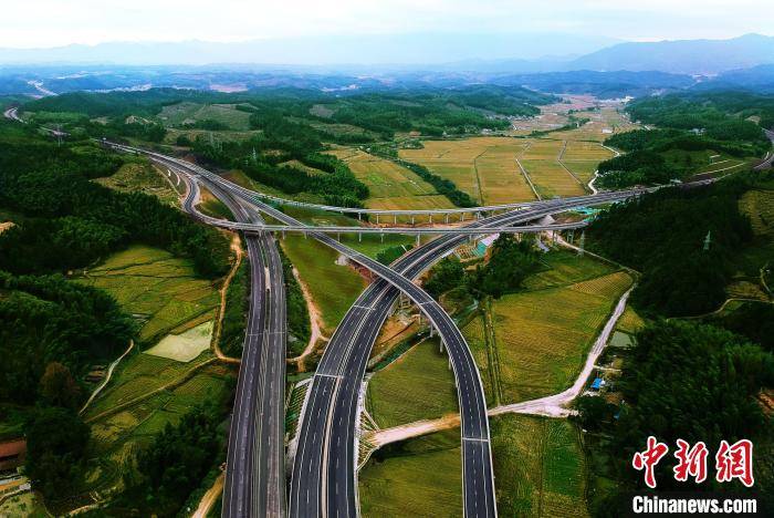 福建交通绿意盎然