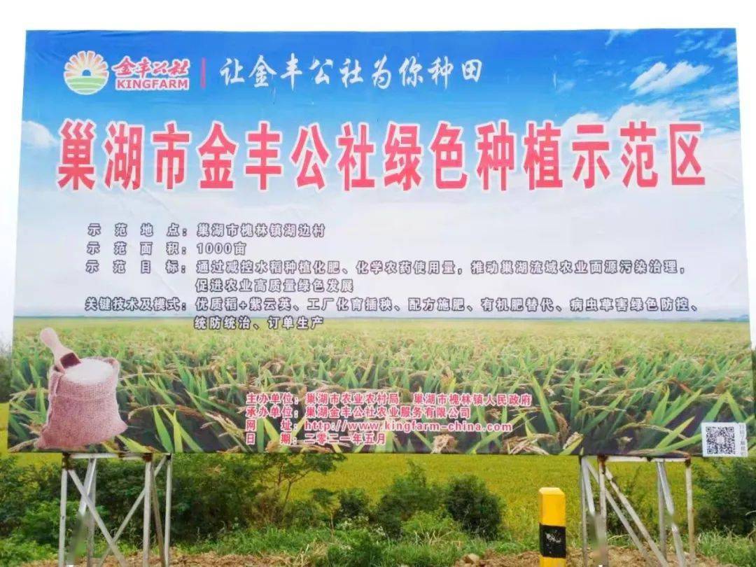 生物医药服务：创新与机遇并存的时代