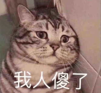 中分拜托给赵露思们好好梳下头