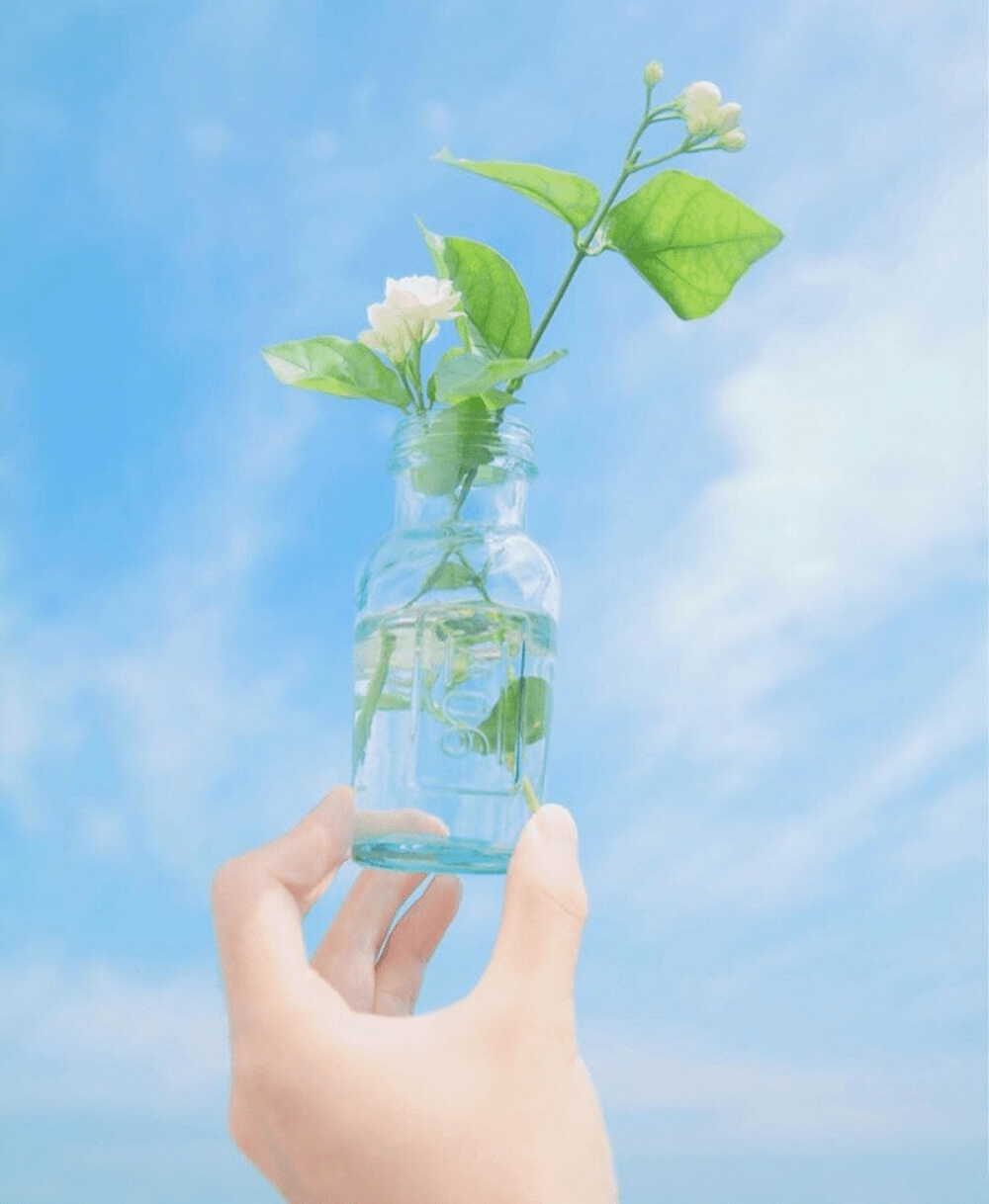 长期不换微信头像的人往往是以下几种心态