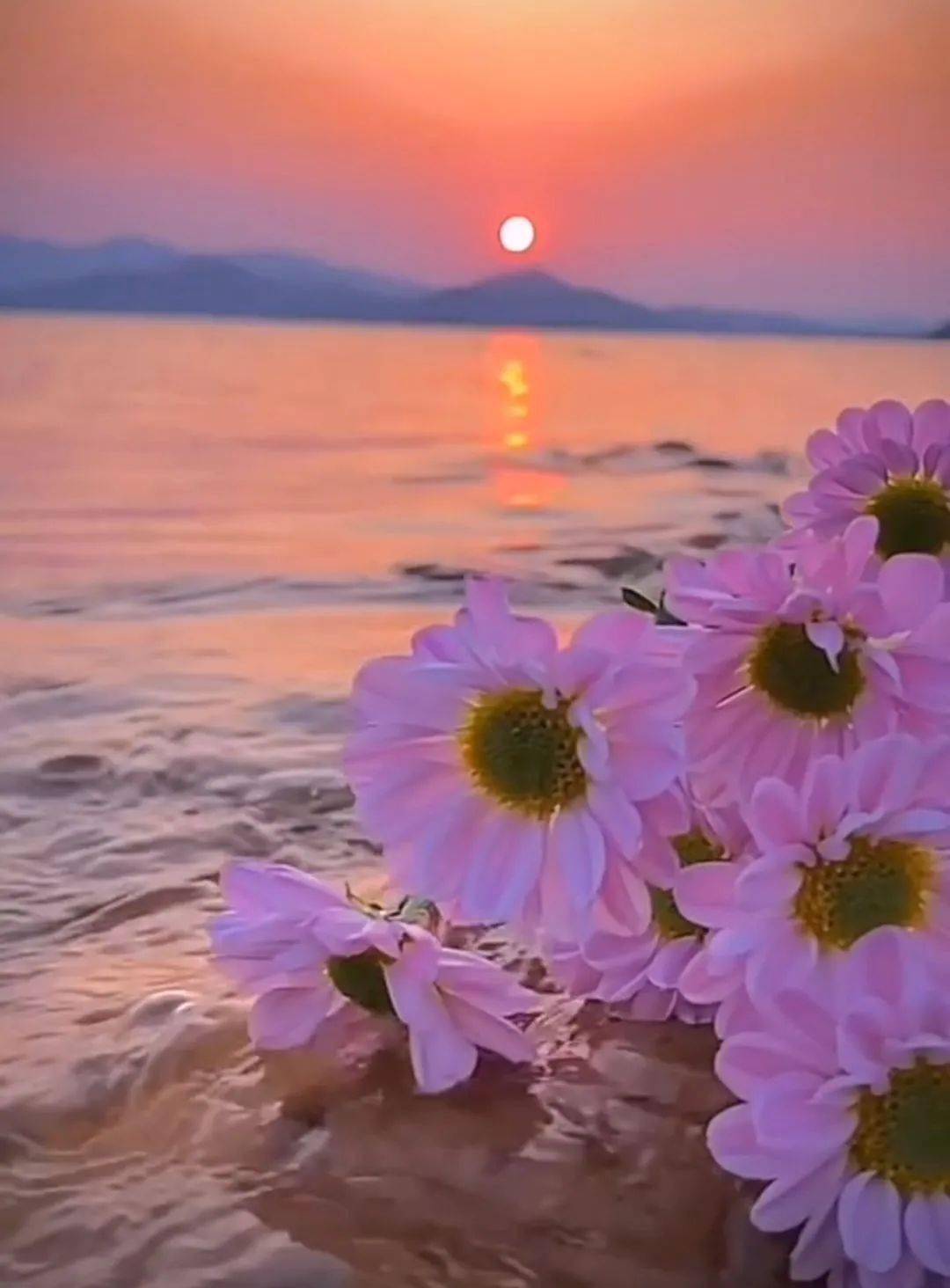 长期不换微信头像的人往往是以下几种心态