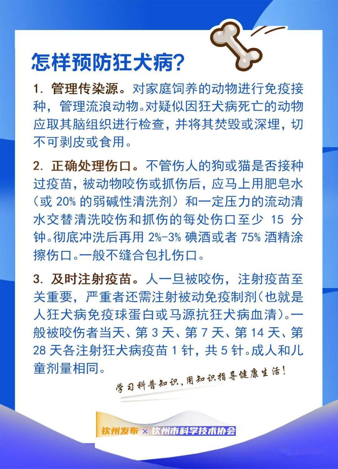钦州科普日历丨世界狂犬病日消除人间狂犬病动物免疫先行