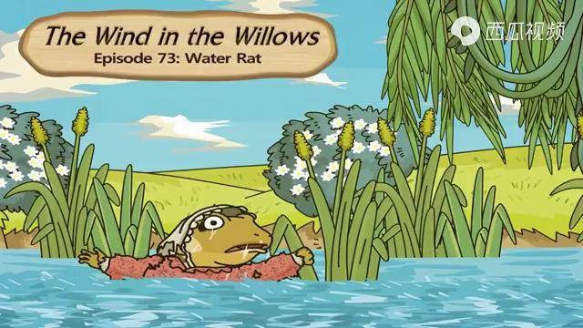 原汁原味美国儿童英语启蒙动画73waterrat