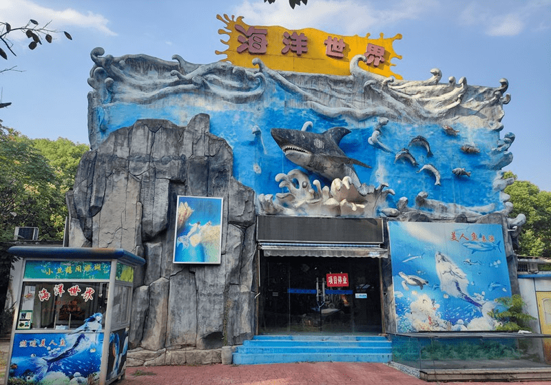 烈士公园海洋馆老板成了被告,起因是一只绿海龟