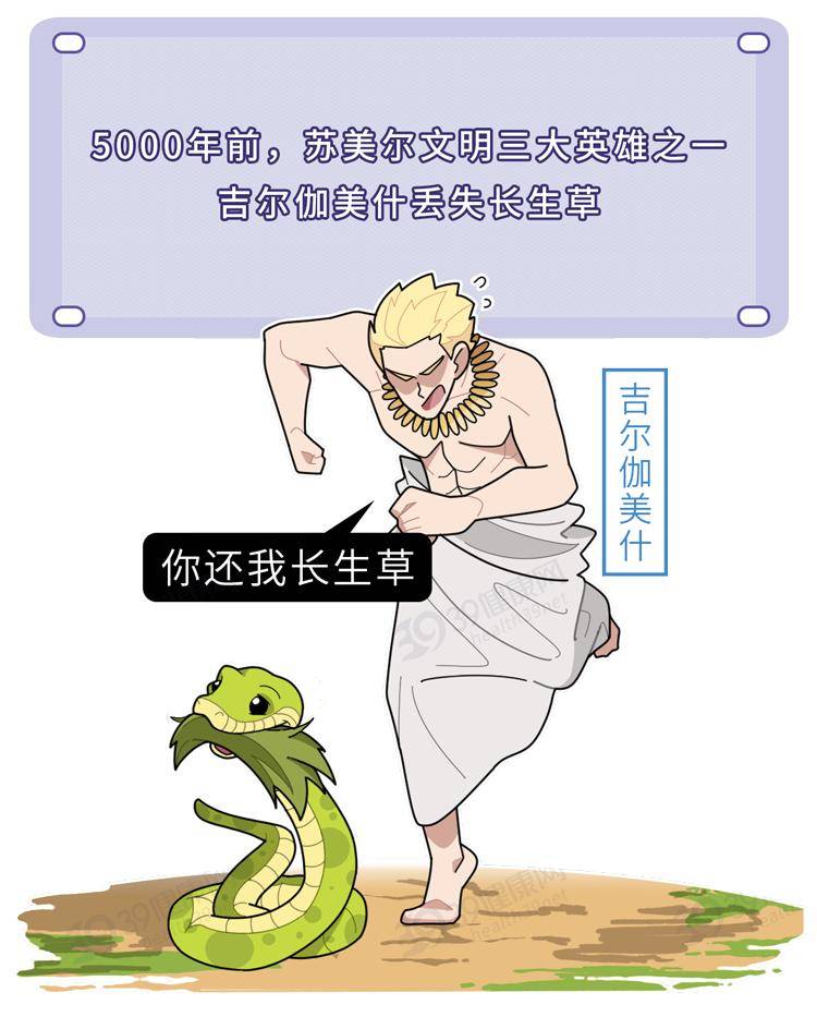 Madden|不想年轻时暴毙，就看看这篇长寿密码