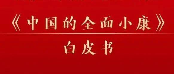 国新办发表重磅白皮书！_发展