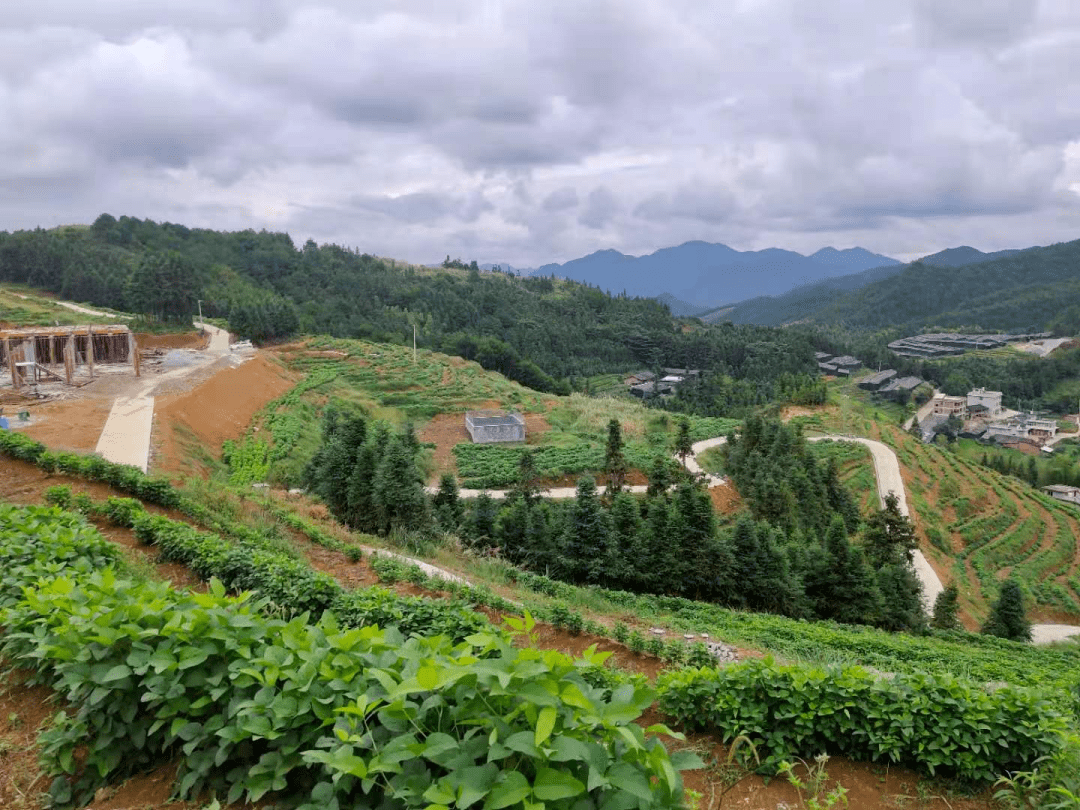 吾祠乡乡贤回归增活力乡村振兴添动能